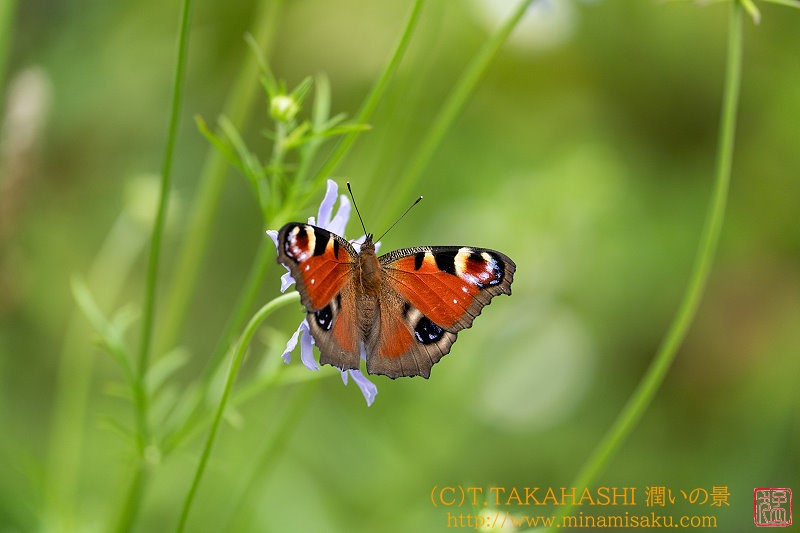 ../Images/7R240815 (183).jpg